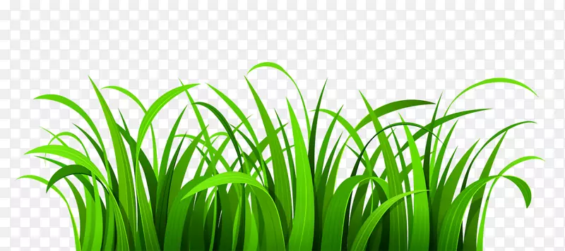 ���������վ������-�����Ĳ�ƺ������-������