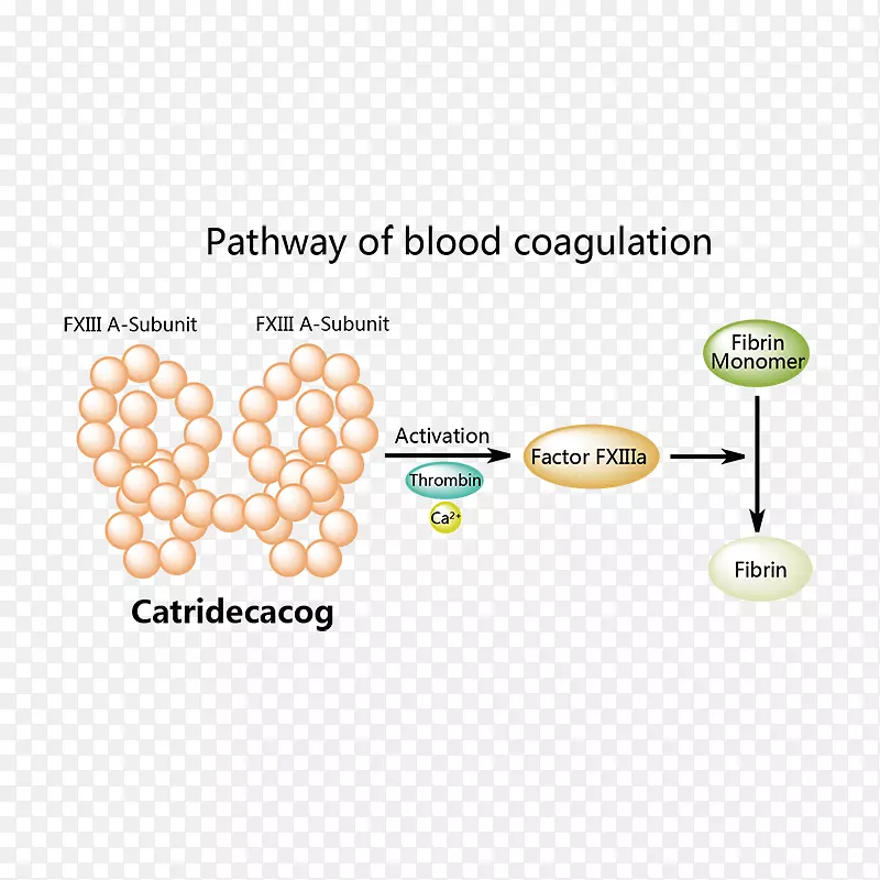 ��Ʒ��Ʊ�־�������-������