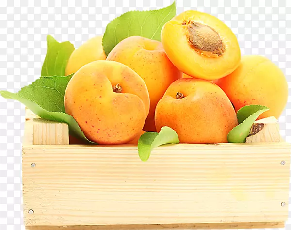 ˮ����ʳ���������ֽ-����-������