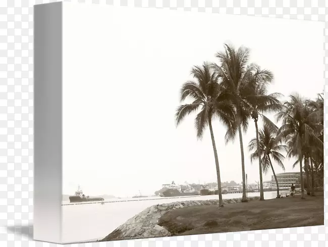 ������ز������-�����-������