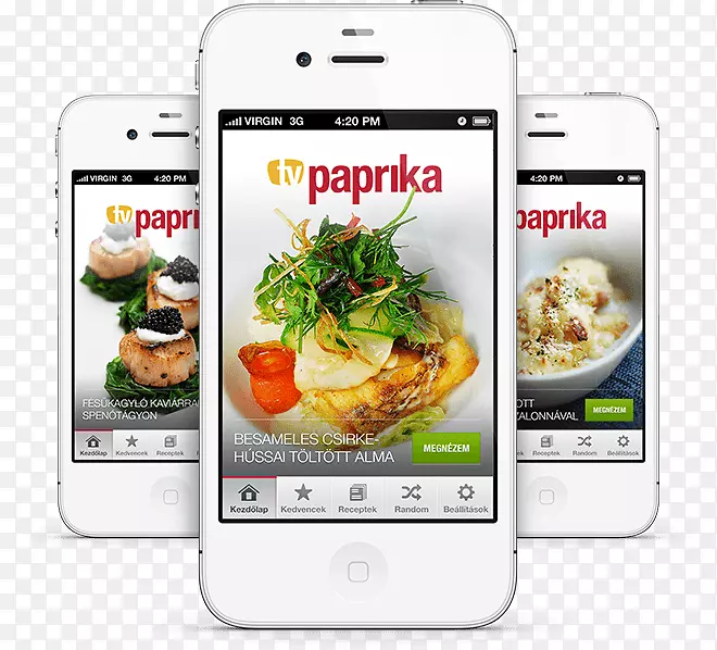 �����ֻ�ʳƷ�䷽��������-�����ֻ�-������