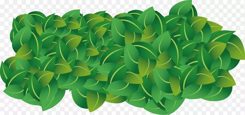 ����ݫ��Ҷ�߲���Ȼ������-������