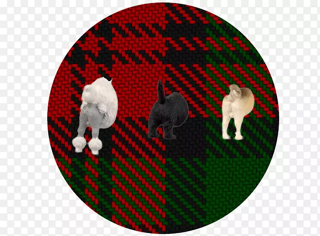 ʥ��װ��Ʒ-�������-������