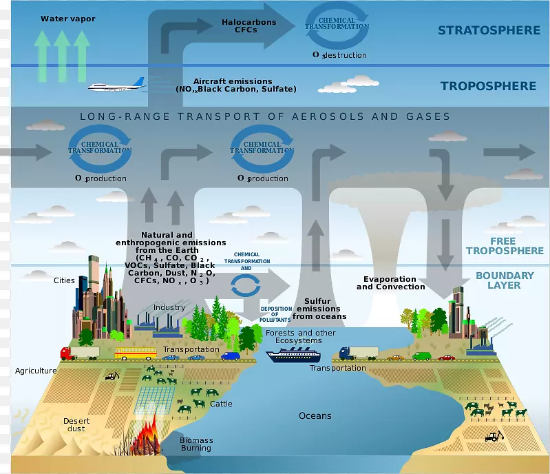 ���������ѧ������ѧ���������ͱ�-������