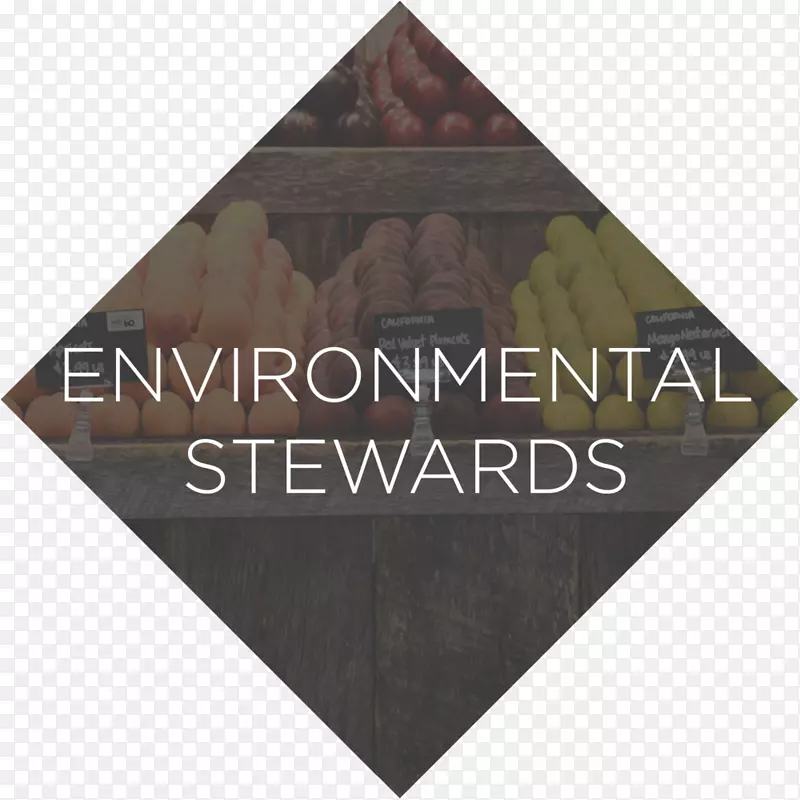 ����������Ʒ��-������-������