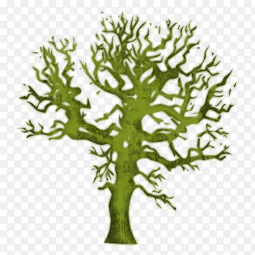 ���ո���ֽAmazon.com��Ƿ������-�������ľ������-������