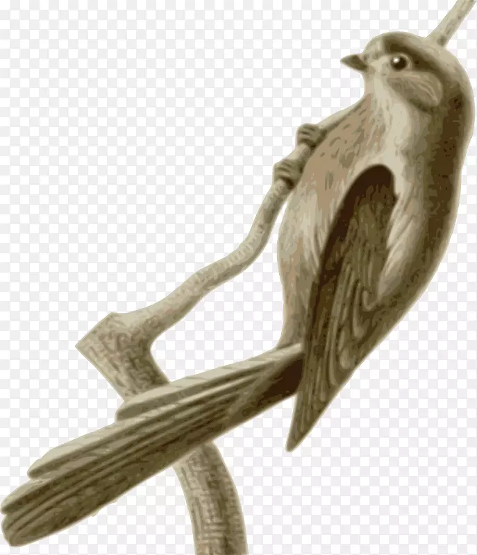 �������οƼ�����.�⻷��Ƭ-������