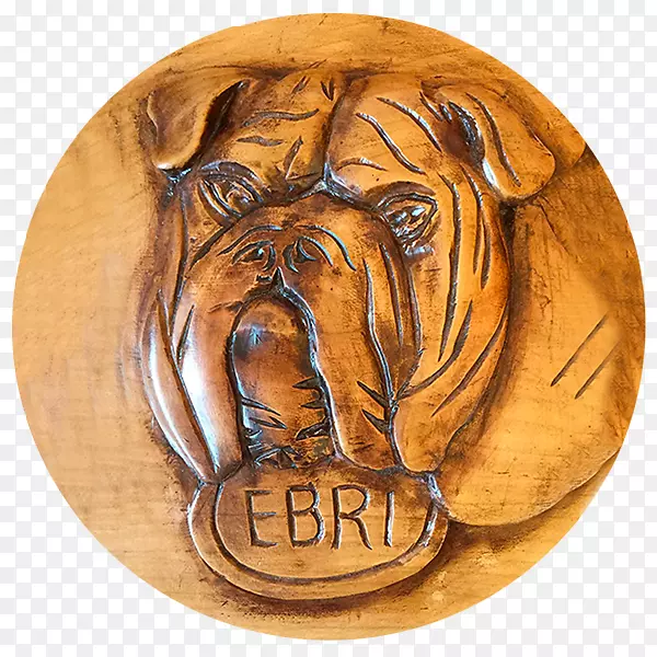 Ӣ����ţȮ-������