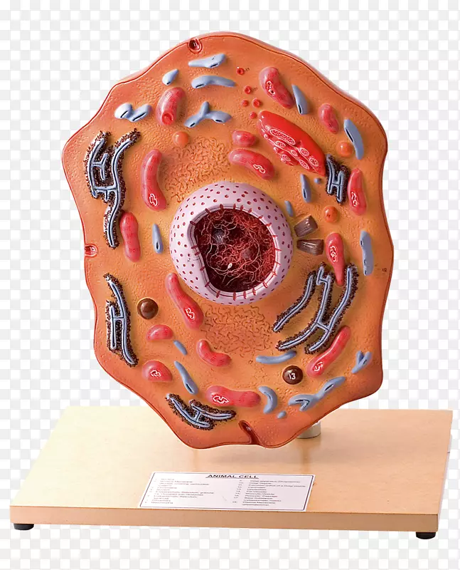 ��Ʒ����°����-������