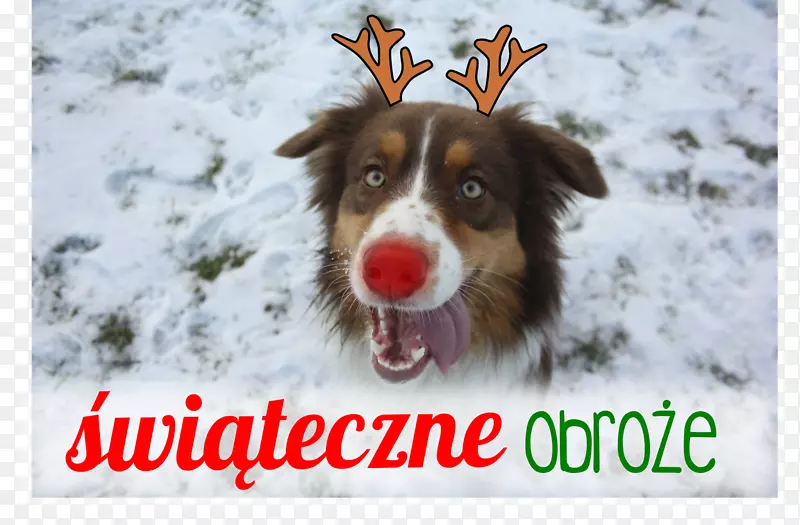 Ȯ�ְĴ���������Ȯ��ȦԼ�˿�Ȯ-С��-������