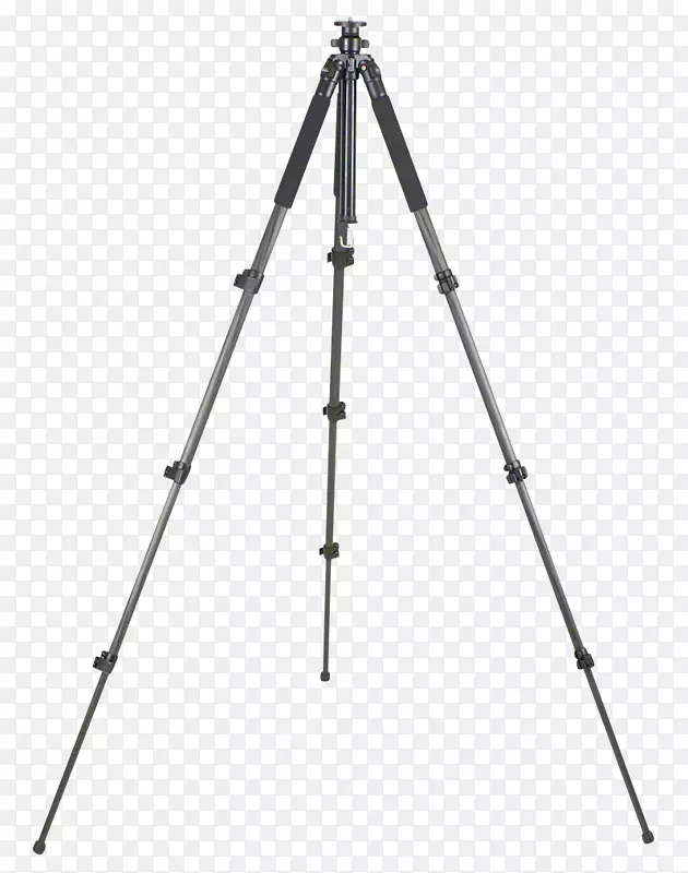 ���ż���Ӱ�˽�ǰ��203 av��������-������