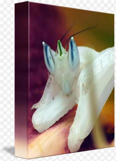 �����������-���-������