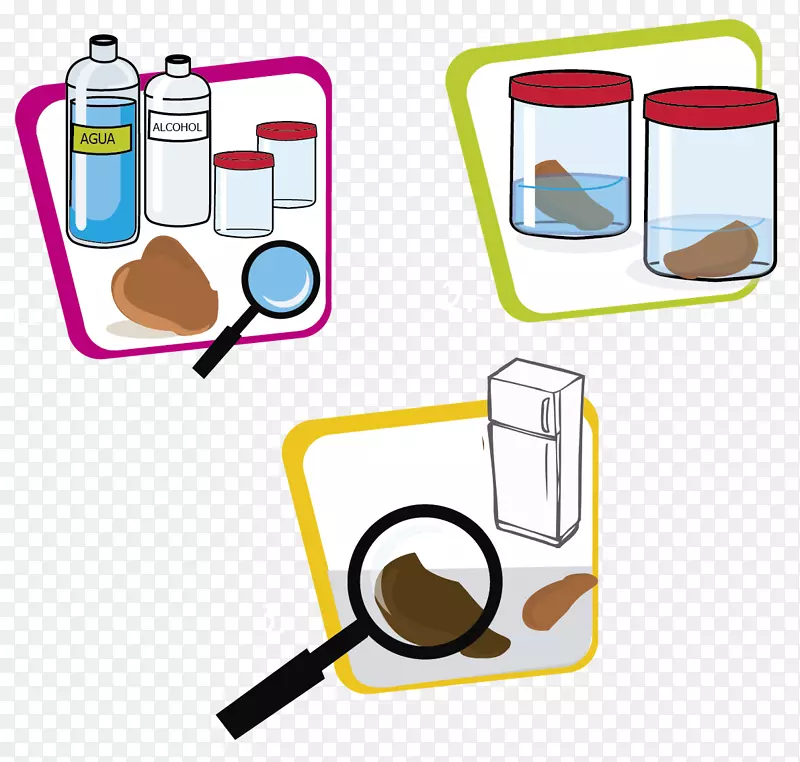 ʵ������ѧ�о��ƾ���ѧ-������