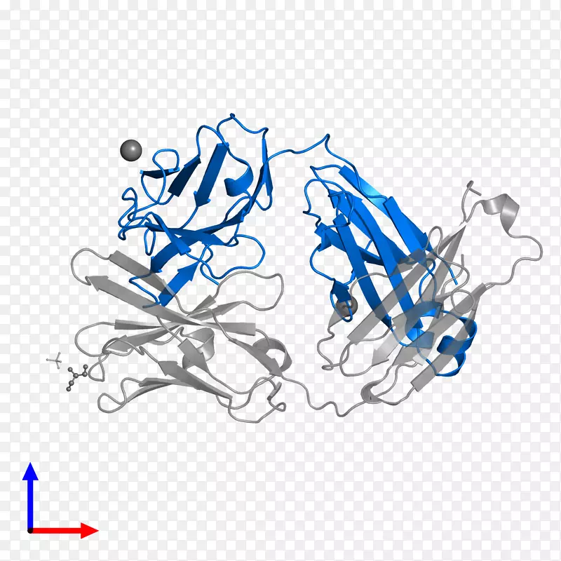 �廭��������Ʒ���-������