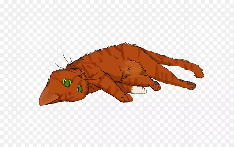 ��ʳ���ë�޶���Ϳɰ�����߶���-���������-������