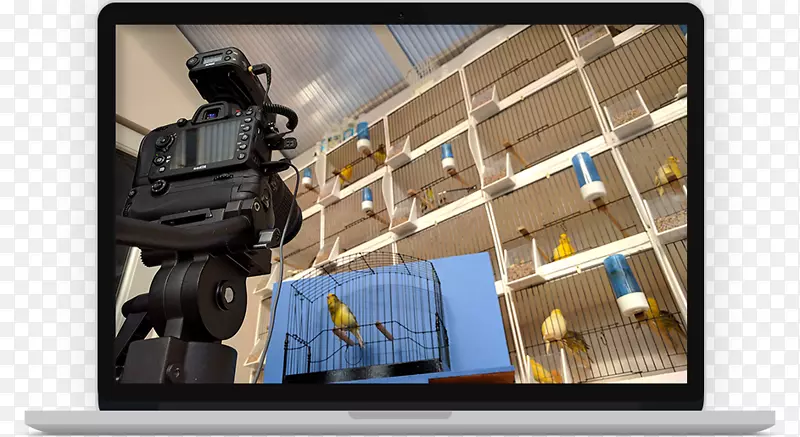 ���ý�˿ȸ���ӷ���Ʒ���Ӳ�Ʒ-���ý�˿ȸ-������