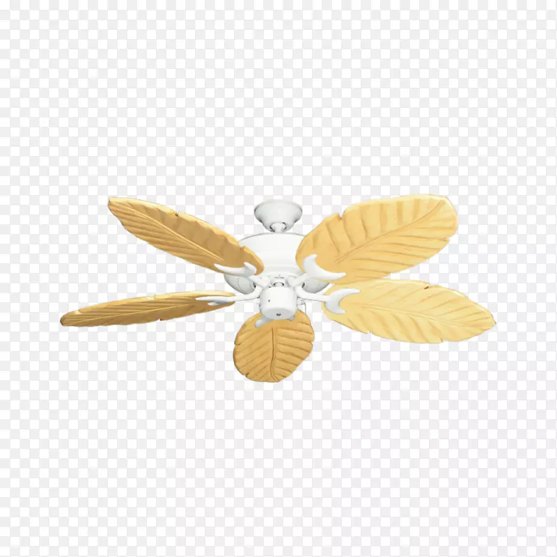 �������2M����-������