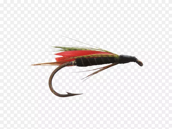 �˹�Ӭ���ն������������ն�-Pesca-������