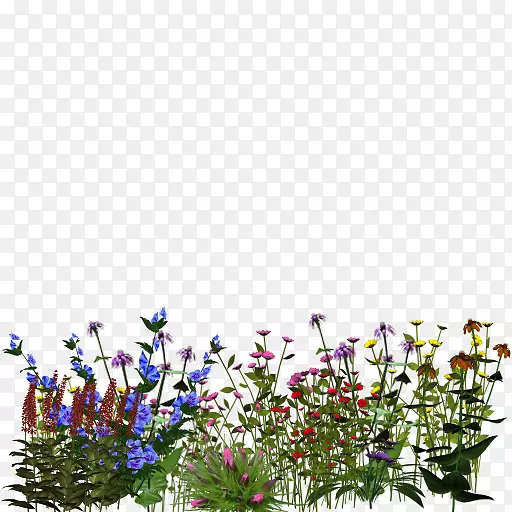 �������ֲ���л�-������