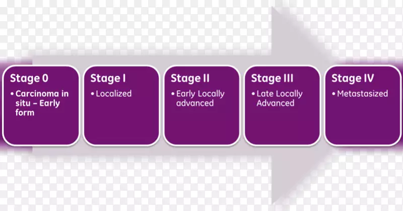 ��Ƥ���������ڷּ�������������ɢ-������