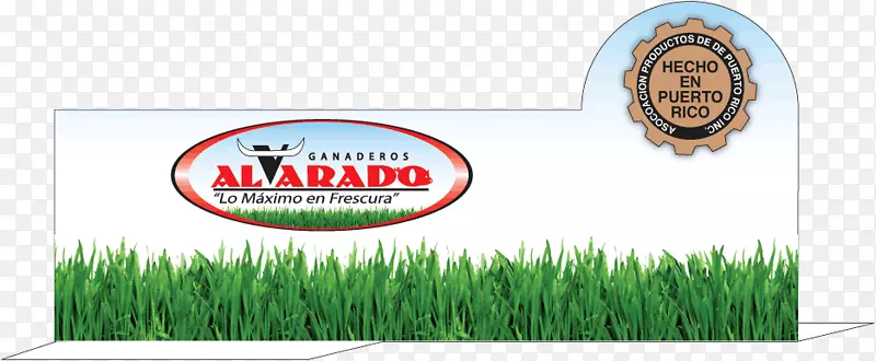 �̱���Ʒ����-���ۻ���-������