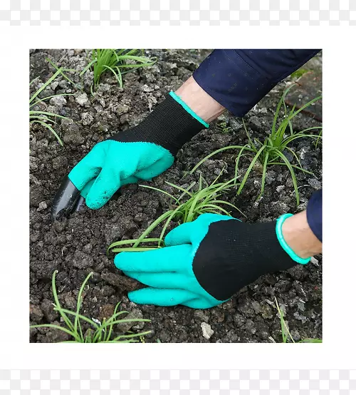 ԰�����׻�԰����԰������-������