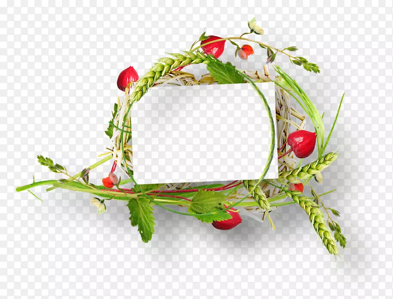 ���뻨���-������