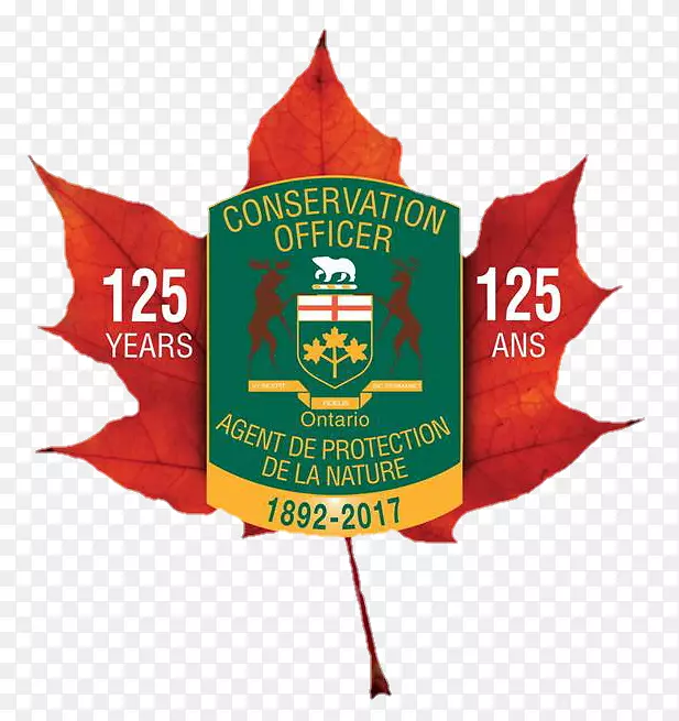 pngͼƬͼ��adobe PhotoshopҶjpeg��Ȼ����-������