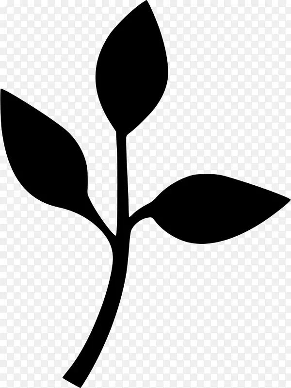 �����ѧҶֲ��ѧ������-��ѧ-������