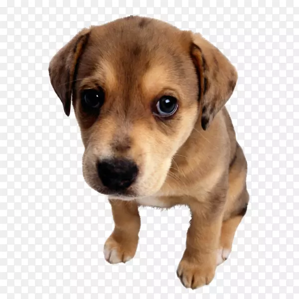 ���տ��ֺؿ�ף���տ���-������