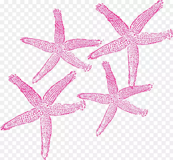 ���Ǽ��������ͼƬ����-����-������