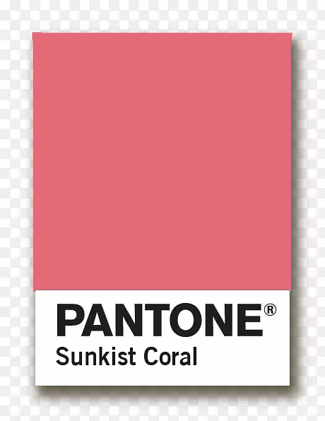 Pantone����iphone��5 Case-RueLaLa��������Pantone�����˶�����iphone 5/5s�˶�����ɫ����pa-iph5Ʒ��-������