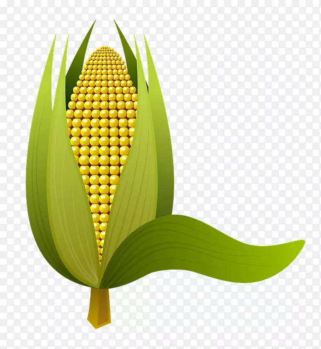 ����������ͼ��pngͼƬadobe Photoshop-�ܧ���٧�-������