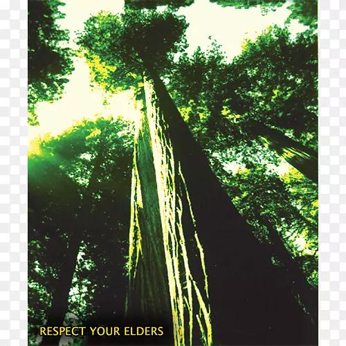 ���ո���ֽ��Ȼ������־����-��������-������