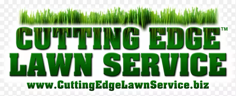 ��ݱ�־��ƺ��ɫ����-רҵ����-������