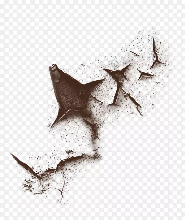 pngͼƬͼ��༭adobe Photoshop-����-������