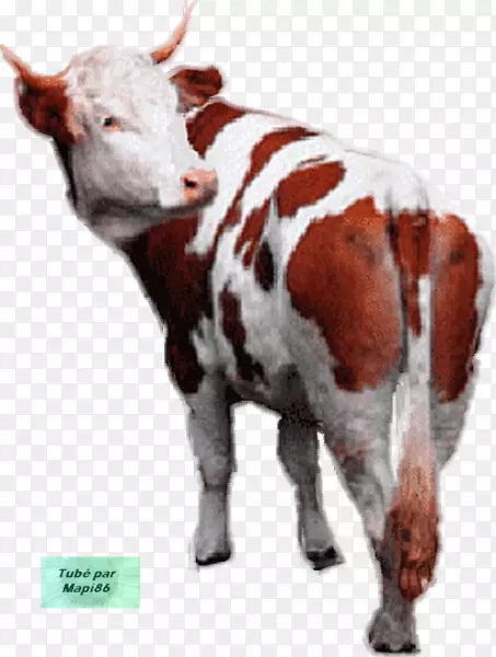 Baka����boop gif����-������