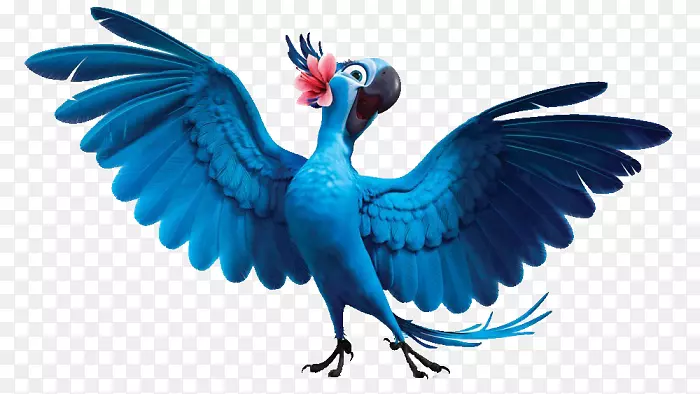 Һ�����Ӽ���������Լ�������-��³���-������