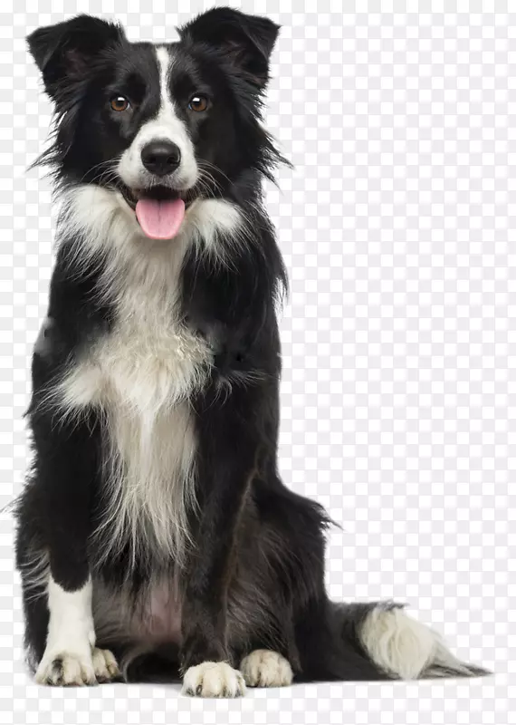 ������������˾��ҽ���ﹷ-������