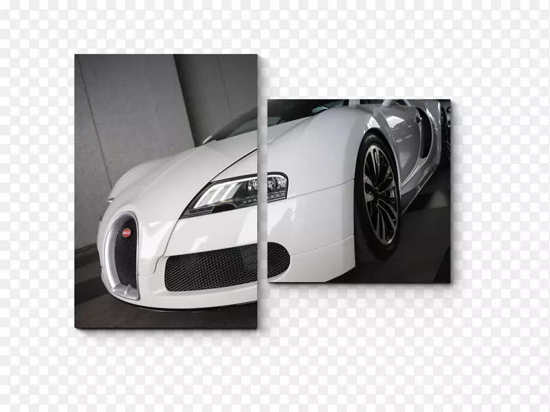 2009��Bugatti Veyron�����ܳ�W16������-Bugatti-������