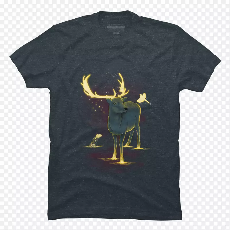 t������ñ��.t��-������