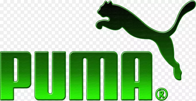 ����ʨ��װЬ�ఢ�ϴ�˹Ь-����ʨ��־-������