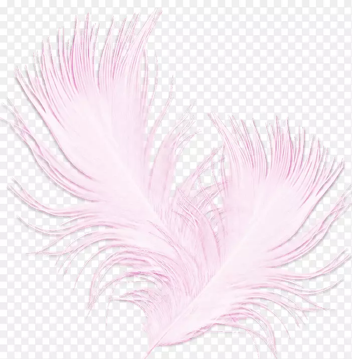 ��ë���Ĳ���Schleier der�����������������-������