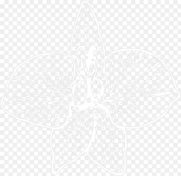 ͼ���Գ��߷���Ҷ��-������