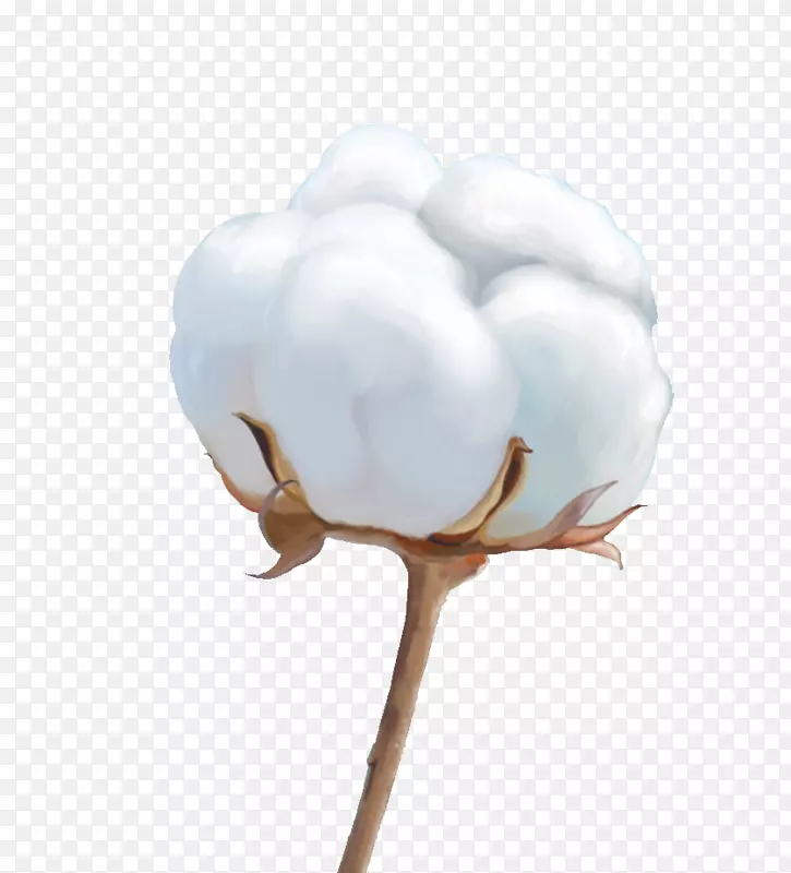 �޻�pngͼƬͼ��adobe Photoshopͼ��.�޻���-������