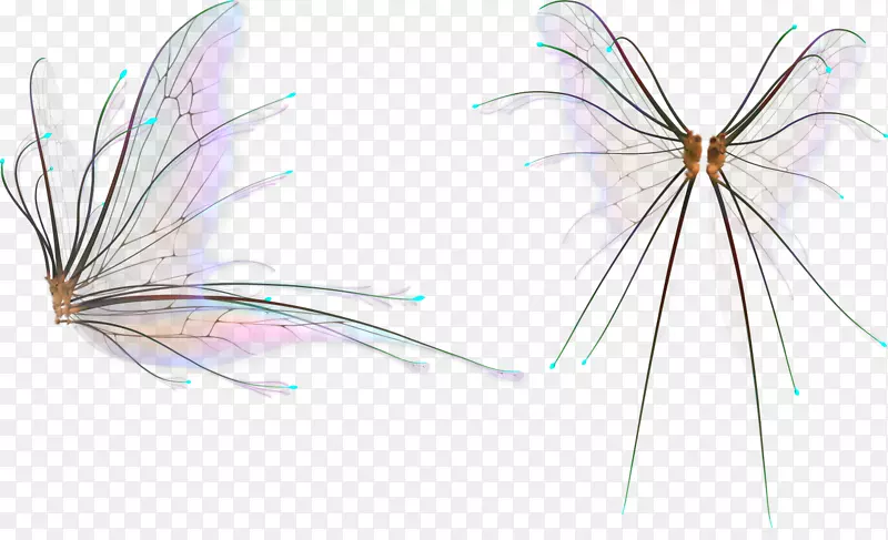 ����⾰����ͼƬ����-������