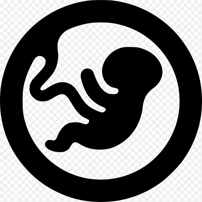 ������ī������Ԫ��������-������