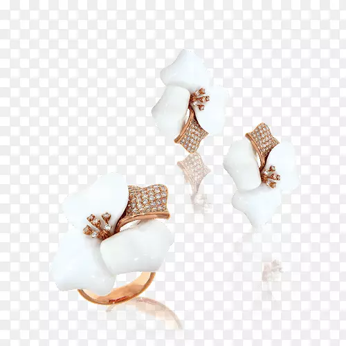 ��ָ����.���ܻ�԰��-������