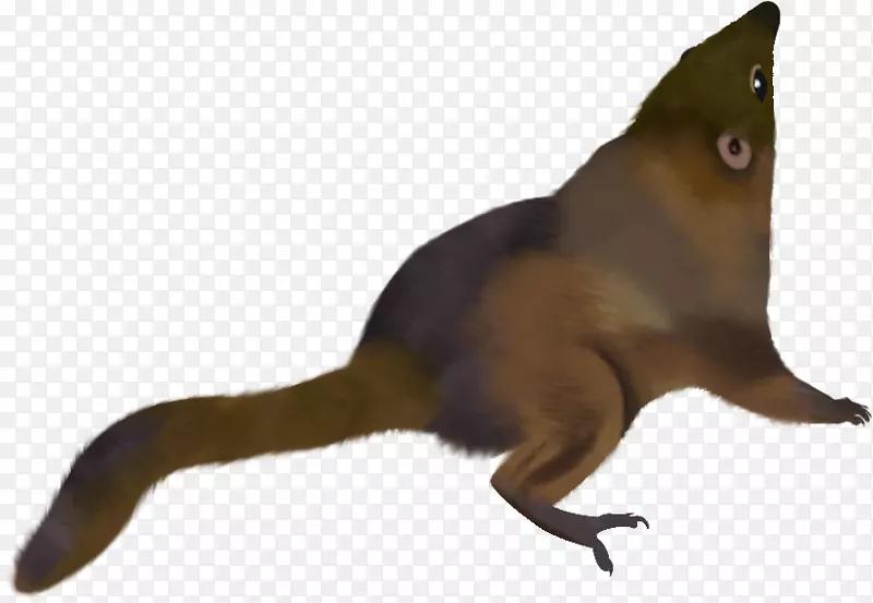 è����½������β��Ұ������-è-������