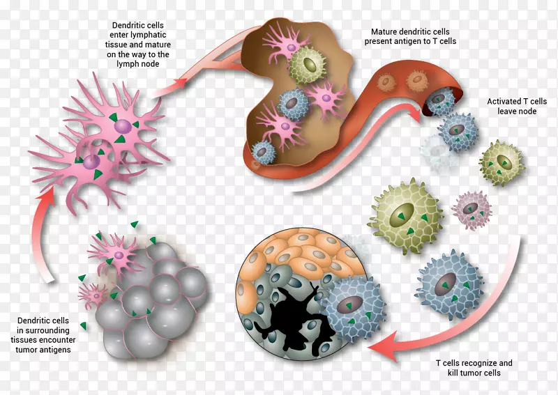 ī����-��֢��Ʒ�ķ�������-������